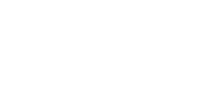 ISM logo